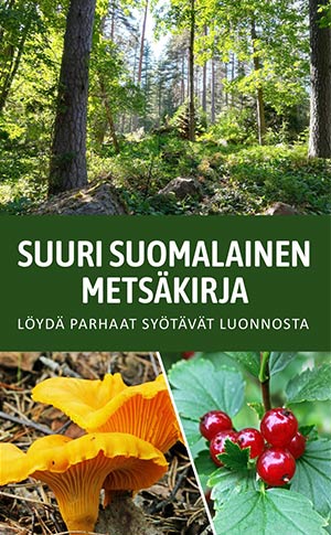 Suuren suomalaisen metsäkirjan kansikuva. Kirjailija Satu Hovi 2026.